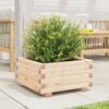 vidaXL Vaso/floreira de jardim 50x50x26,5 cm madeira de pinho maci&ccedil;a