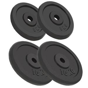 vidaXL Discos de muscula&ccedil;&atilde;o 4 pcs 2x10 kg+2x5 kg ferro fundido