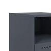 Imagem em miniatura do produto 10 de 13