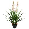 vidaXL Planta orqu&iacute;dea cymbidium artificial com vaso 100 cm verde