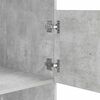 vidaXL Arm&aacute;rio de Lavanderia com porta Cimento 50 x 68 x 162 cm