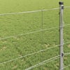 Imagem em miniatura do produto 4 de 9