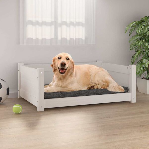 A apresentar a imagem do produto 2 de 8