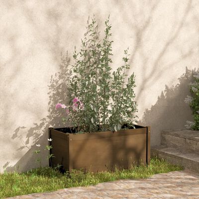 vidaXL Vaso/floreira de jardim 100x50x50 cm pinho maciço castanho-mel