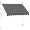 vidaXL Toldo retr&aacute;til manual 300 cm antracite