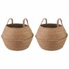 vidaXL Cachepot com al&ccedil;as 2 pcs Natural &Oslash; 32 x 32 cm 100% Erva marinha