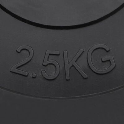 vidaXL Discos de musculação 6 pcs 30 kg cimento