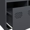 Imagem em miniatura do produto 9 de 14