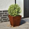 vidaXL Garden Planters 2 pcs 30x30x30 cm a&ccedil;o resistente &agrave;s intemp&eacute;ries