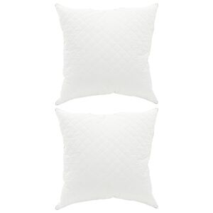vidaXL Almofada FULDA 2 unid. 60 x 60 cm 100% Plumas de Ganso e penas