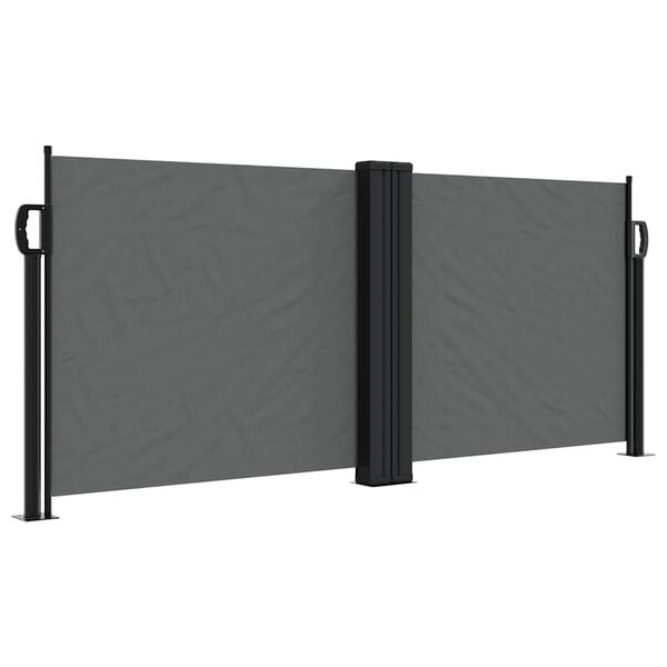 vidaXL Toldo lateral retr&aacute;til 100x600 cm antracite