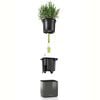 LECHUZA Vasos 3 pcs Green Wall Home Kit antracite brilhante