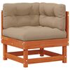 Wax_brown_pine