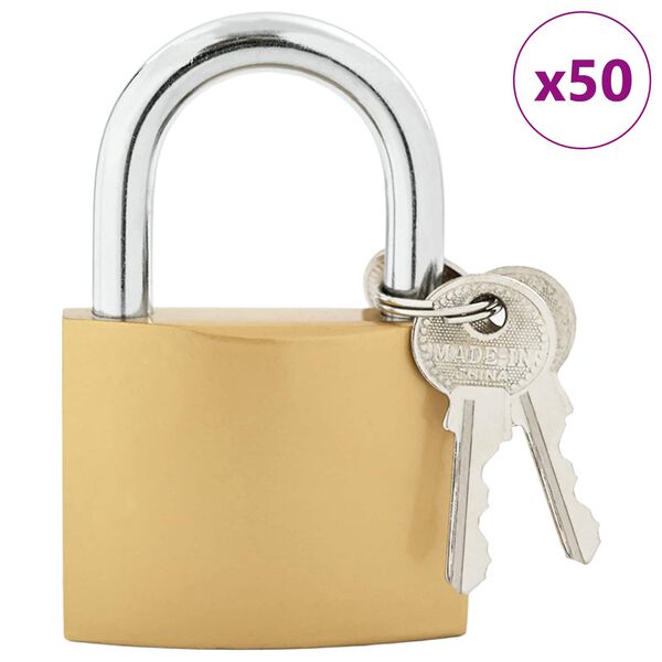 vidaXL U Lock com Chaves 50 pcs Lat&atilde;o Ferro