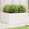 vidaXL Vaso/floreira jardim 100x100x46 cm madeira pinho maci&ccedil;a branco