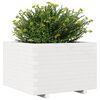 vidaXL Vaso de jardim 70x70x49,5 cm madeira de pinho maci&ccedil;a branco