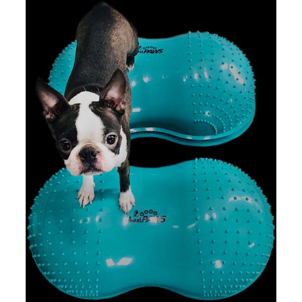 FitPAWS Plataf. equil&iacute;brio animais FlexiPAWS Cloud 70x40x32cm turquesa