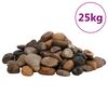 vidaXL Seixos polidos 25 kg 2-5 cm multicor