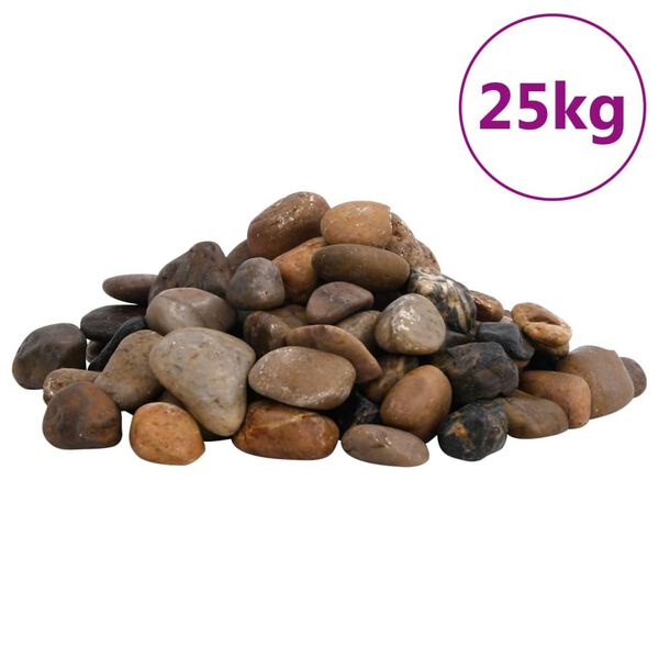 vidaXL Seixos polidos 25 kg 2-5 cm multicor