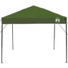 vidaXL Tenda de Toldo Manual Verde 243 x 243 x 251 cm tecido