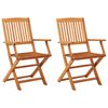 vidaXL Cadeiras de jardim dobr&aacute;veis 2 pcs eucalipto maci&ccedil;o