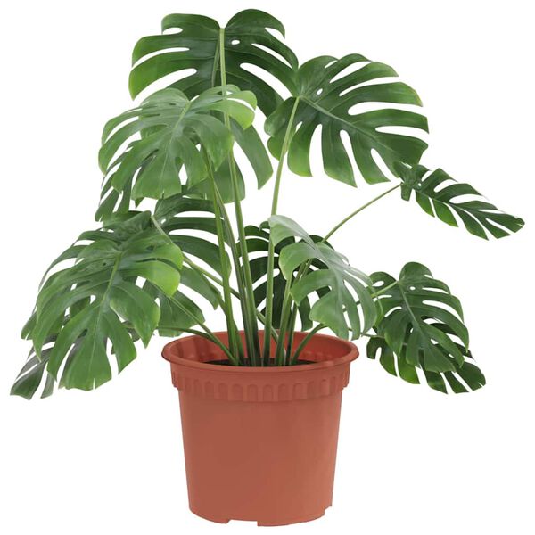 vidaXL Vaso Redondo para Flores 24 pcs Vermelho Tijolo &Oslash; 12,5 x 10 cm