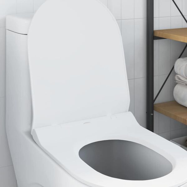 A apresentar a imagem do produto 4 de 12