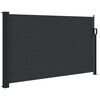 vidaXL Toldo lateral retr&aacute;til 120x600 cm preto