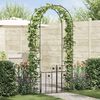 vidaXL Arco de Jardim com bloqueio Preto 203 x 50 x 218 cm
