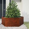 vidaXL Vaso/floreira 138x120x45 cm a&ccedil;o corten cor enferrujado