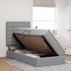 vidaXL Cama com arruma&ccedil;&atilde;o e LED Cinzento-claro 100 x 200 cm Poli&eacute;ster