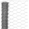 Nature Rede de arame hexagonal 1x5 m 40 mm a&ccedil;o galvanizado