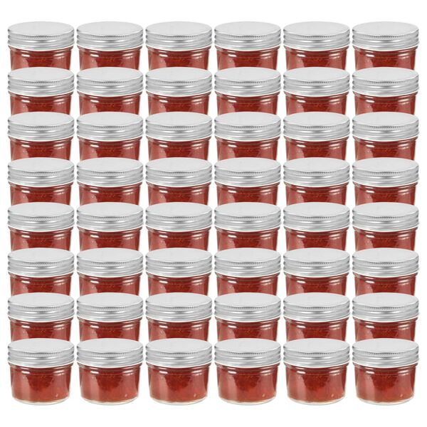 vidaXL Frascos de vidro com tampas prateadas 48 pcs 110 ml