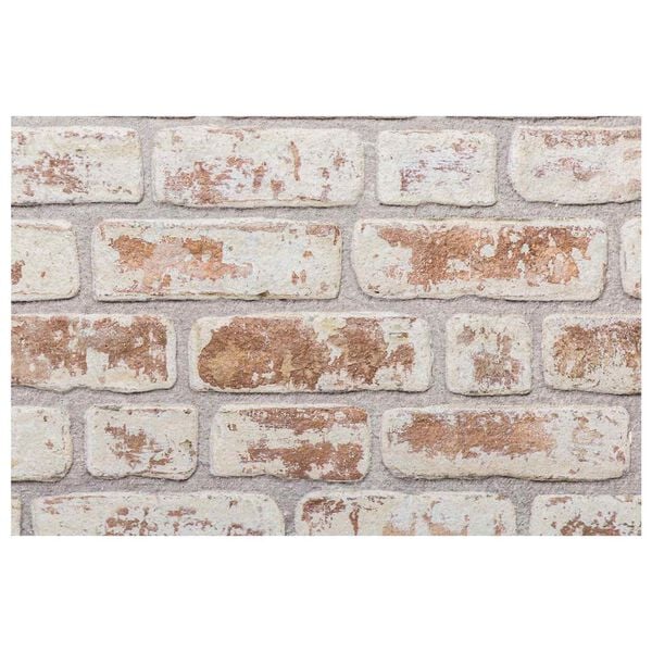 vidaXL Pain&eacute;is de parede 10 pcs Vermelho e Branco 100 x 50 cm