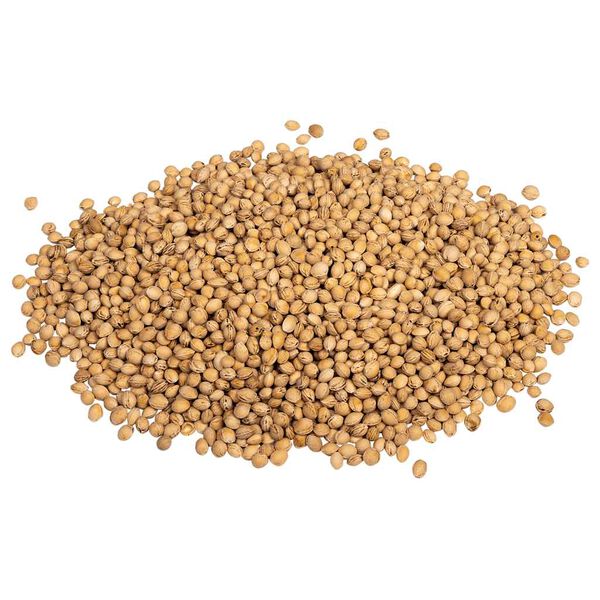 A apresentar a imagem do produto 4 de 5