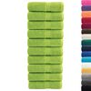 vidaXL Toalhas de bid&eacute; premium SOLUND 10pcs 30x50cm 600gsm verde ma&ccedil;a