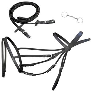 Cabe&ccedil;ada de couro com r&eacute;deas e brida, preto, full