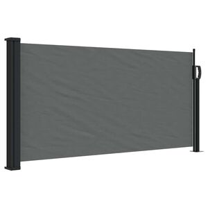 vidaXL Toldo lateral retr&aacute;til antracite 100x300 cm
