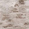 Revestimentos de parede holandeses - Painel fotogr&aacute;fico Parede de tijolos antigos bege e marrom