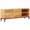 vidaXL Gabinetes de Armazenamento com porta Castanho 110 x 30 x 40 cm