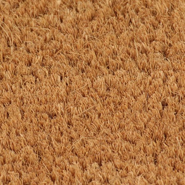 vidaXL Tapete de porta semicircular 50x80 cm fibra coco tufada natural