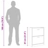 vidaXL Sapateira 63x24x81 cm derivados de madeira branco brilhante