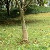 Imagem em miniatura do produto 2 de 7
