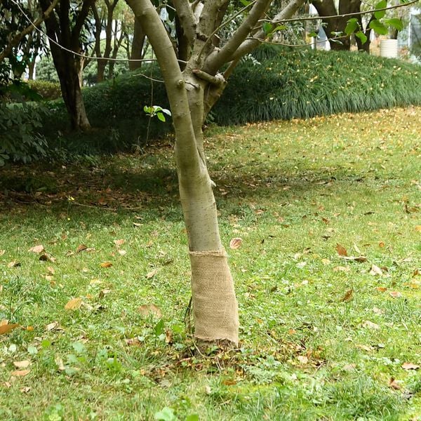 A apresentar a imagem do produto 2 de 7