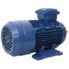 vidaXL Motor de 3 fases el&eacute;trico alum&iacute;nio 2,2kW/3CV 2 polos 2840 rpm