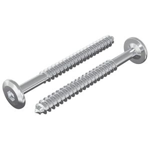 vidaXL Parafusos de Madeira 2 pcs Prateado M6 x 70 mm A&ccedil;o