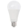 Imagem em miniatura do produto 9 de 17