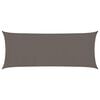 vidaXL Para-sol estilo vela 160 g/m&sup2; 2x4,5 m PEAD antracite