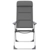 vidaXL Cadeiras de campismo 2 pcs 58x69x111 cm alum&iacute;nio cinzento