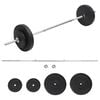 vidaXL Conjunto de barra com discos 30 kg
